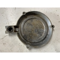 Large View