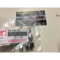 GENUINE YAMAHA BRUIN 250 BIGBEAR 250 STARTER MOTOR BRUSH KIT 3KW-H1801-00 BRUSHES SPRINGS SCREWS