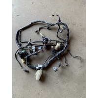 HONDA TRX 420 FM 4X4 2009 - 2013 WIRING LOOM HARNESS