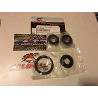 HONDA CTX 200 AG BUSHLANDER  FRONT WHEEL BEARING & SEAL KIT  1120
