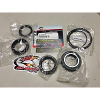 HONDA TRX 300 BIGRED - FOURTRAX REAR DIFF SEAL KIT ALL BALLS 2010-5