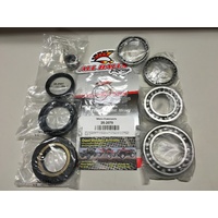HONDA TRX 420 TM FM 2X4 AND 4X4 REAR DIFF BEARING & SEAL KIT 07 - 13