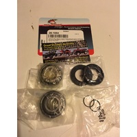 YAMAHA BEARTRACKER BIGBEAR BRUIN YFM 250  REAR SWING ARM BEARING KIT 28-1084