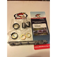 HONDA CTX 200 AG BUSHLANDER REAR SWING ARM BEARING KIT  28 1165