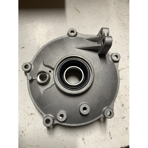 HONDA TRX 250 REAR BRAKE BACKING PLATE 1997 - 2021 AFTER MARKET
